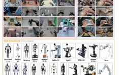 Robbyant Upgrades and Open-Sources LingBot-VLA 2.0 as a Next-Generation Universal Brain for Embodied AI