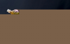 LGȭ, ͸   Ǹ ãҴ١ ǻó  ȭ ʱ 